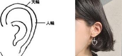 ：耳朵藏着的秘密， 比你想象的梗神奇