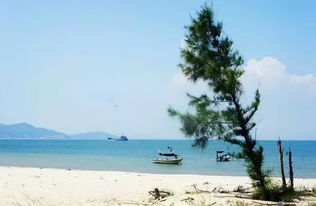 六、  红海湾遮浪半岛：粤东麒麟角的美景
