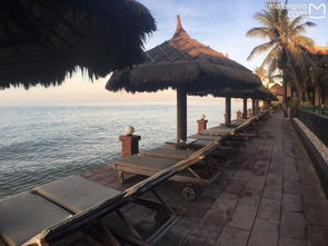 #3 特色民宿（随机出现）