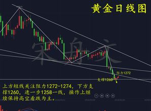 大王金的命格究竟预示着怎样的命运走向和人生轨迹？