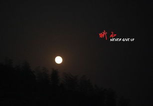 真实相的边缘：一种奇怪的感觉