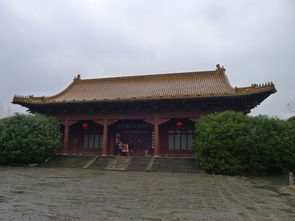 七、旅行小贴士 & 防坑指南 (乱序版)