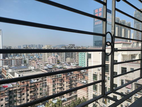 震惊！宝安妇幼周边这些遛娃地全是坑 2026年黄历显示不宜出行