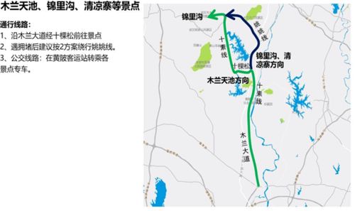 交通灾难现场实录