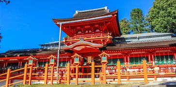 一、 奈良古寺春日游：一场与历史的亲密接触