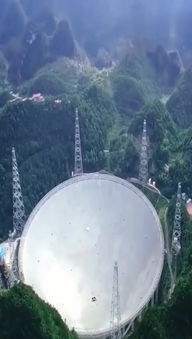 两种游客，两种命！！！