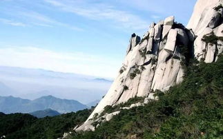 2026年黄历小贴士