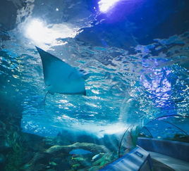 双鱼座宝子哭了:海王星骗了你!