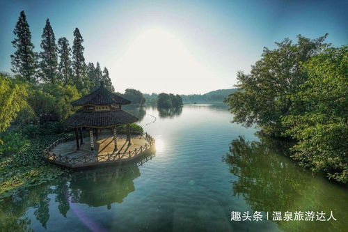 西湖路：文艺青年的聚集地