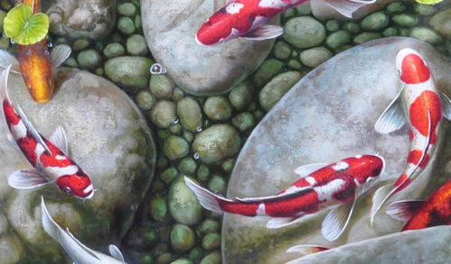 这张风水图中，长尾鲤鱼图片寓意着什么吉祥含义？