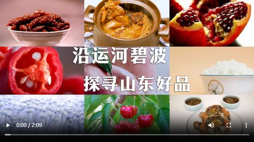 第二章：揭秘510322背后的美食保密