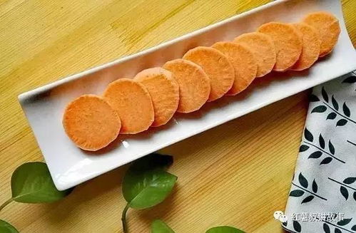 深夜玩具箱的低语——生肖星座与风水的奇异交叉