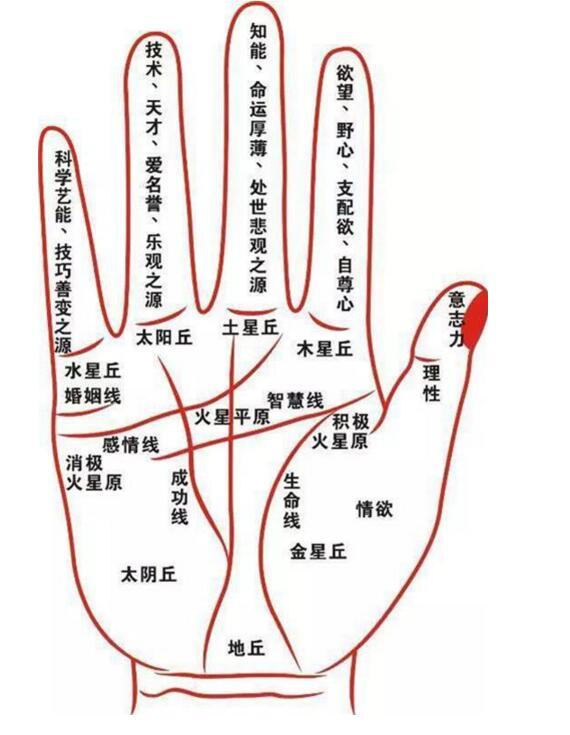 从手相kan祖坟吉凶,手相kan祖坟朝向揭秘
