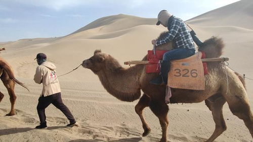 下午四点才是真理？（也许吧）