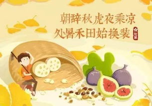 河南处暑美食盘点：传统节令习俗大揭秘