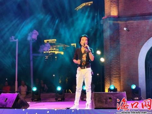 2.1 街头艺人的演唱会现场体验