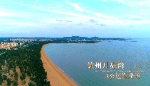 月亮湾：浪漫与尘埃共舞