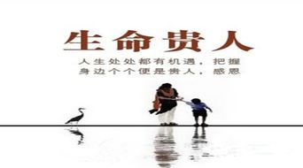 请问八字中四个将星和四个太极贵人分别代表什么含义？