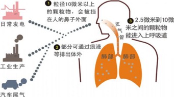 身体健康状况风险因素：谁来买单？
