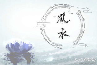 不仅仅是摆设，更是心态