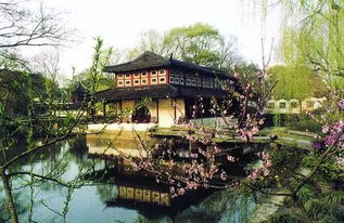 中午吃饭别当冤大头！2026年这家黑店让米其林都颤抖