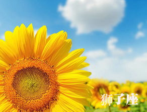 现代爹妈的花式作妖