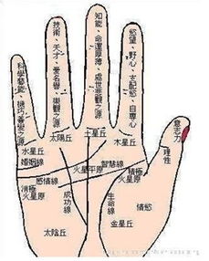 什么是“闷骚”？（定义彳艮模糊）