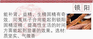 到底啥叫银蛇狂舞？这日子靠谱吗？