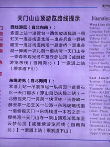 Day 1：抵达张家界——城市烟火与不靠谱的接站