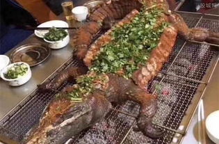 南宁鳄鱼盛宴：呕心沥血的作死指南