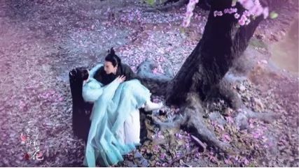 星座与桃妖的奇妙交叉