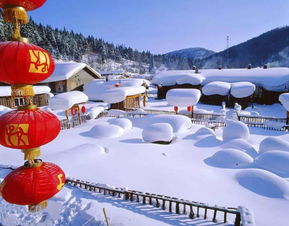 *2. 雪乡·双峰林场*