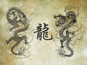 龙和皇帝不得不说的秘密