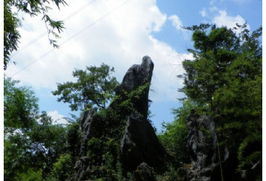 门票价格：这不是抢劫是什么