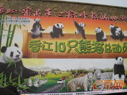 天啊！这个动物园根本不是你以为的那样！