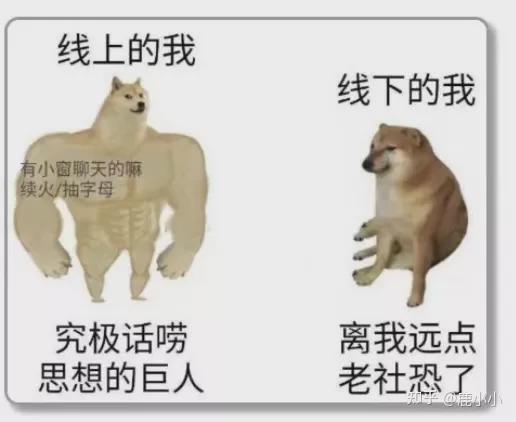 鸡飞狗跳的生肖是鸡，打一数字是九，改写为：鸡飞狗跳的生肖和数字分别是什么？