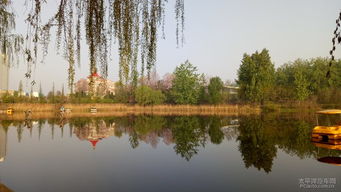 苏堤真的很长，谁修的这么长？