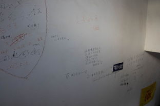 前言：高原上的乱七八糟