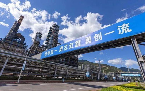3.2 石化遗址公园：工业遗址的绿色重生