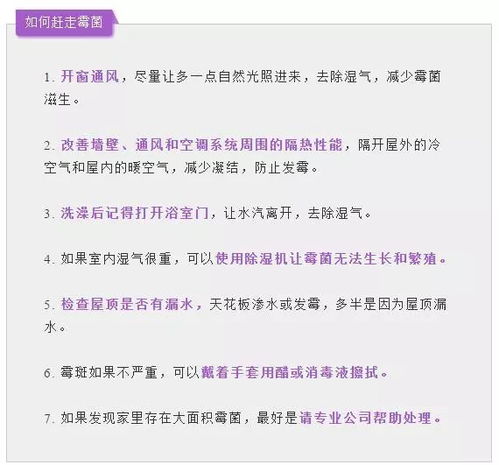 2026年黄历警告：七天瞎逛指南，攻略都是骗鬼的