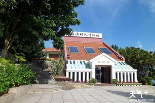 筼筜湖周边游玩攻略（观鸟+秋较高气爽）