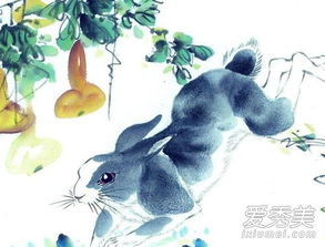 属兔19年7月和2027年感情运势分别如何？