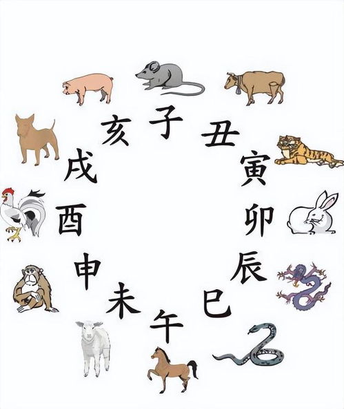 夏指的是哪个生肖，这个生肖又代表着什么含义？