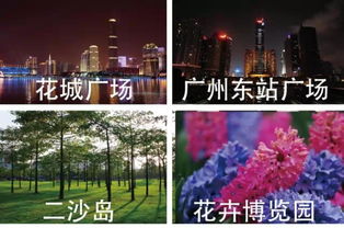 长隆：花钱买罪受的