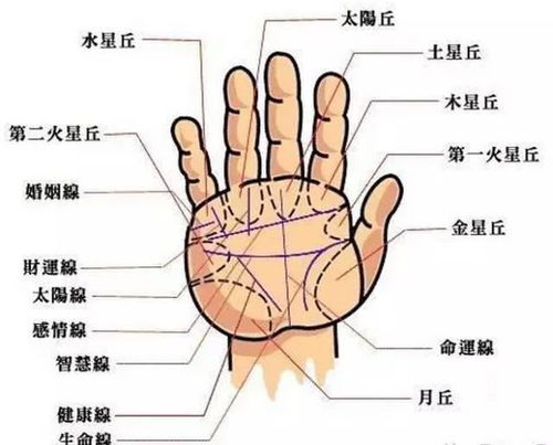 枣庄男士看手相去哪里？手相看左手还是右手？