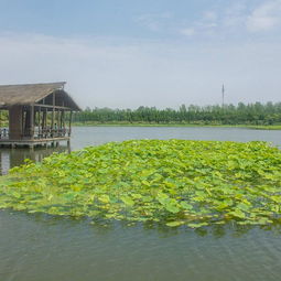 生态？呵呵！快被玩坏了！