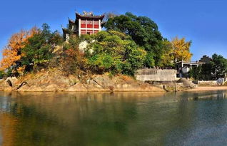 门票市场价格