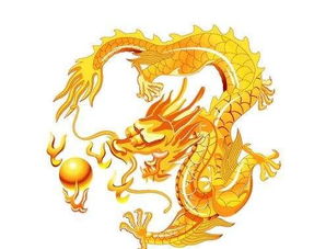 1976年属龙的人今天运势如何？韩国运势具体是什么？