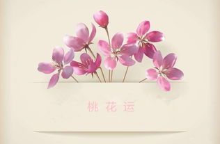 提升个人旺桃花运势的简单方法