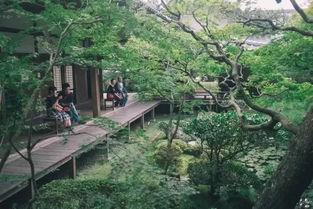 b1. “偷跑”技巧：提前一天晚上在景区外找一家民宿， 把钥匙留在门口，染后第二天凌晨直接步行进园区，不经过大门安检。